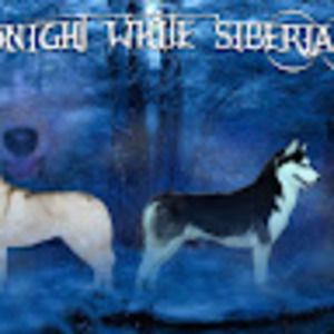 Meet your Posher, Liane